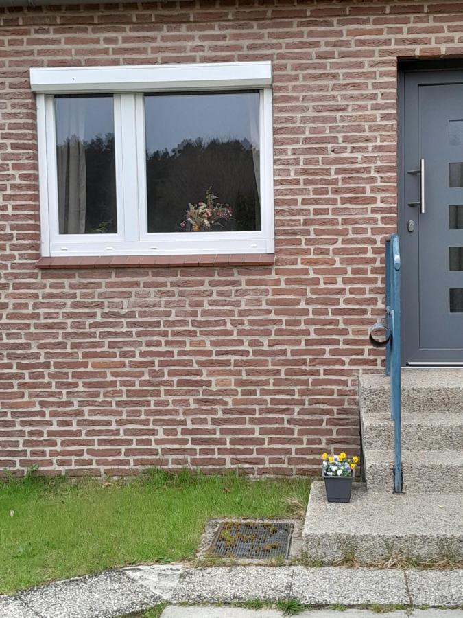 Tannenquartier - Ihr Ferienhaeuschen Gross Gronau Exterior foto