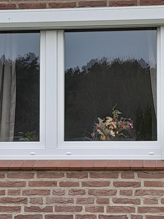 Tannenquartier - Ihr Ferienhaeuschen Gross Gronau Exterior foto